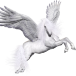 Site Icon
